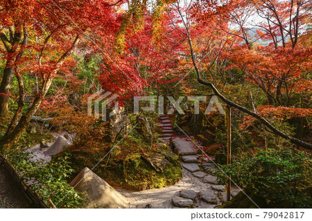 Kyoto Ohara Hosen-in Temple, "Hosen-in" in autumn colors Kyoto Ohara Hosen-in Temple, "Hosen-in" in autumn colors 79042817