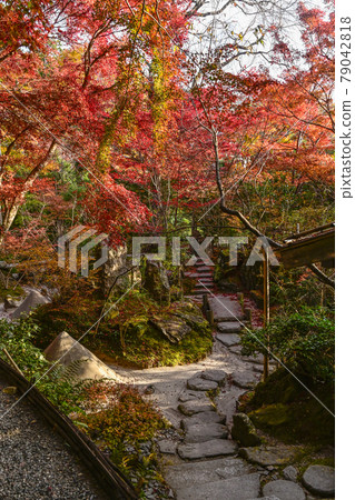 京都大原寶泉院，秋色的“寶泉院” 79042818