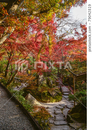 京都大原寶泉院,秋色的“寶泉院” 京都大原寶泉院,秋色的“寶泉院” 79042819