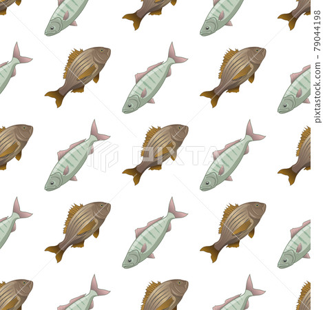 Fish crucian carp seamless pattern, side view 79044198