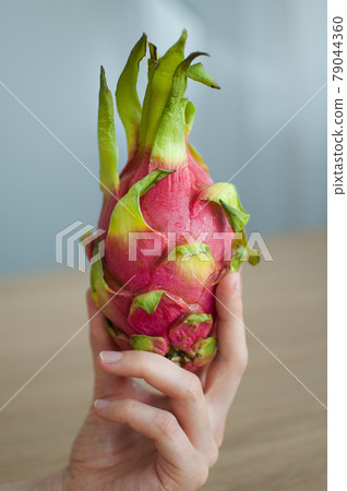 Female hand holding fresh ripe organic dragon fruit or pitaya, pitahaya. Exotic fruits, healthy eating concept 79044360