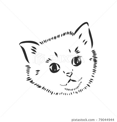 Vector sketch of a stylized kitten's face 79044944