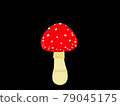 紅毒蘑菇 79045175