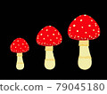 紅蘑菇 79045180