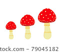 紅蘑菇 79045182