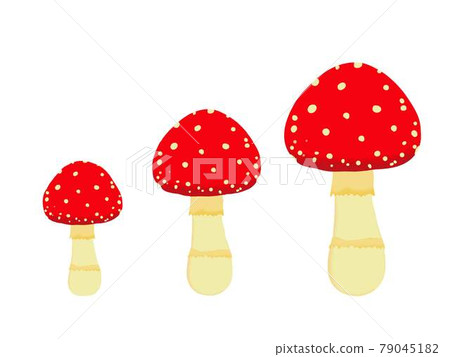 Red mushrooms 79045182