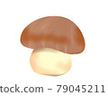 布朗蘑菇 79045211