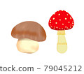 棕色和紅色蘑菇 79045212