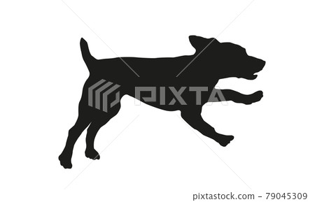 Runnin russian spaniel puppy. Black dog silhouette 79045309