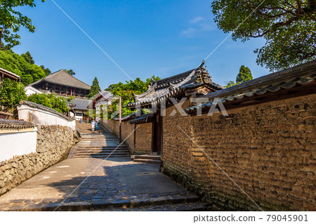 走在東大寺背道的土牆上 走在東大寺背道的土牆上 79045901