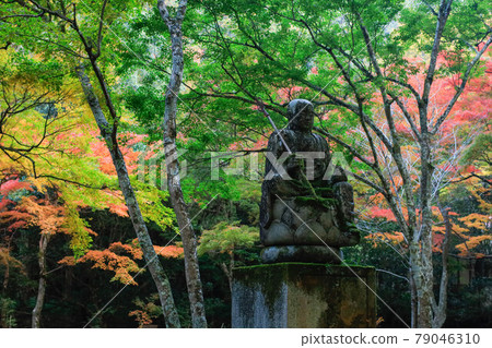 Autumn leaves of Buttsuji Temple, Mihara City, Hiroshima Prefecture Autumn leaves of Buttsuji Temple, Mihara City, Hiroshima Prefecture 79046310