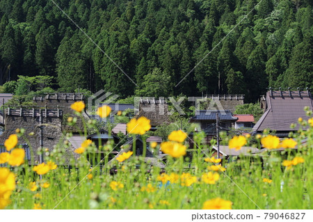 Kyoto Miyama Kayabuki no Sato Spring [Kyoto Prefecture] 79046827