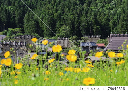 京都御山茅吹之里之泉[京都府] 79046828