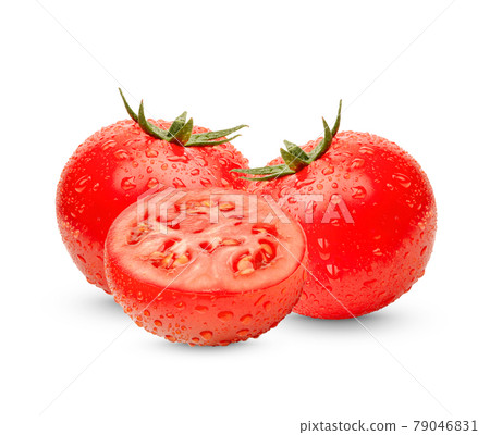 Fresh tomatoes isolsted on white background Fresh tomatoes isolsted on white background 79046831