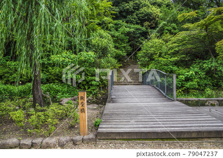 《Aichi Prefecture》 Nagoya City Yagatoyama Kosho-ji Temple 《Aichi Prefecture》 Nagoya City Yagatoyama Kosho-ji Temple 79047237