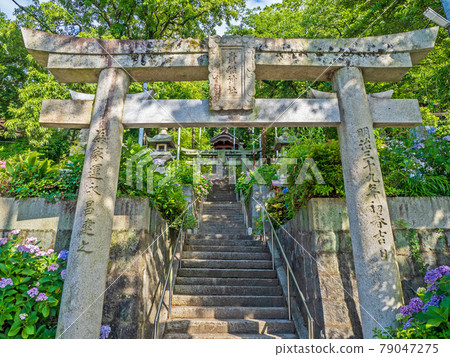 Kibune Shrine in Yahatanishi-ku, Kitakyushu 79047275