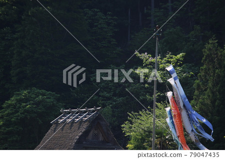 Carp streamer Kayabuki no Sato Miyama [Kyoto Prefecture] 79047435