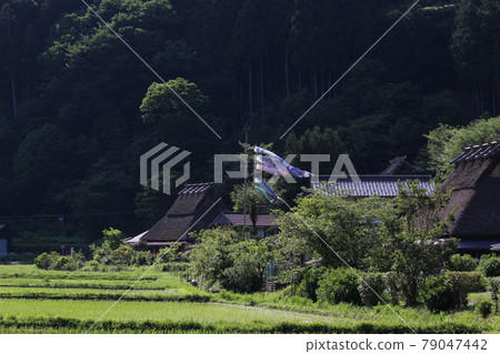 鯉魚旗 Kayabuki no Sato Miyama [京都府] 79047442