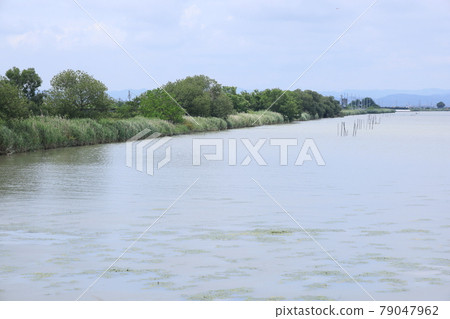 Beautiful polluted lake in Tamano City, Okayama Prefecture, Japan Beautiful polluted lake in Tamano City, Okayama Prefecture, Japan 79047962