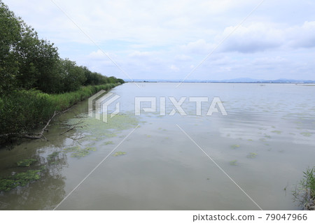 Beautiful polluted lake in Tamano City, Okayama Prefecture, Japan 79047966