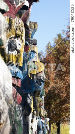 totem totem 79048529