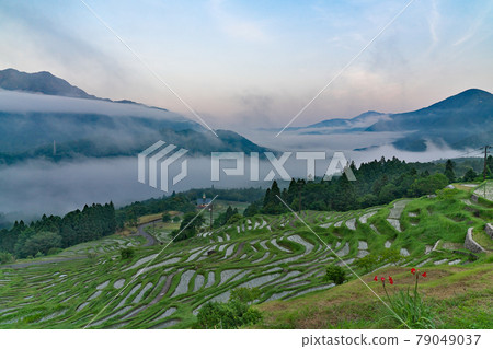 [Maruyama Senhita (Sea of Clouds)] Maruyama, Kiwa-cho, Kumano City, Mie Prefecture 79049037