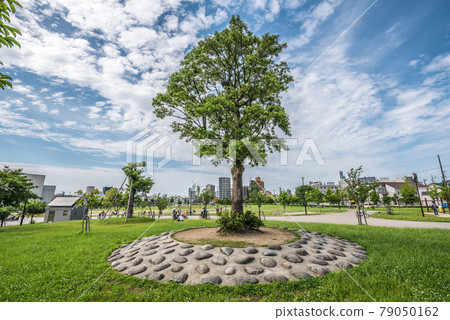《愛知縣》名古屋市昭和區川名公園 《愛知縣》名古屋市昭和區川名公園 79050162