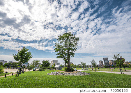 《愛知縣》名古屋市昭和區川名公園 《愛知縣》名古屋市昭和區川名公園 79050163
