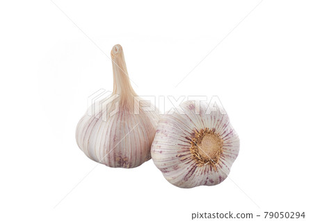 garlic head on white background isolated garlic head on white background isolated 79050294