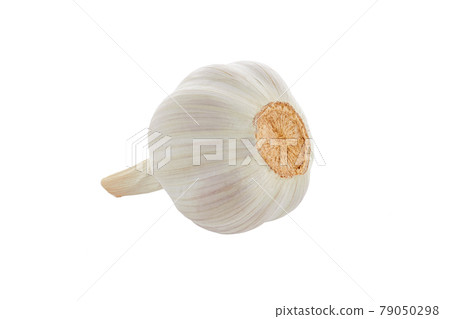 Fresh garlic head on white background 79050298