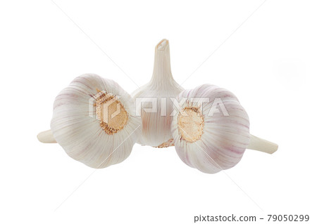 garlic head on white background isolated 79050299