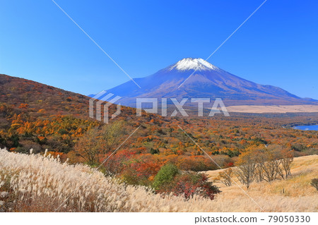 [Yamanashi Prefecture] Mt. Fuji and autumn leaves seen from the Yamanakako Panorama Dai 79050330