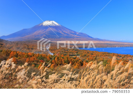 [Yamanashi Prefecture] Mt. Fuji and autumn leaves seen from the Yamanakako Panorama Dai 79050353