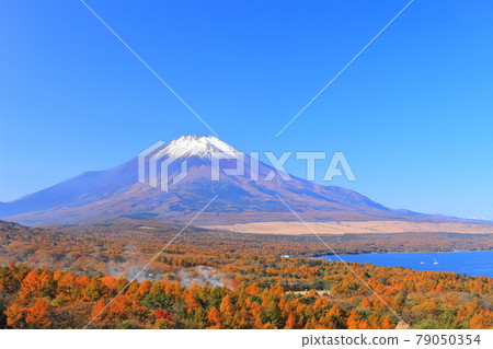 [山梨縣] 從山中湖全景台看富士山和紅葉 79050354