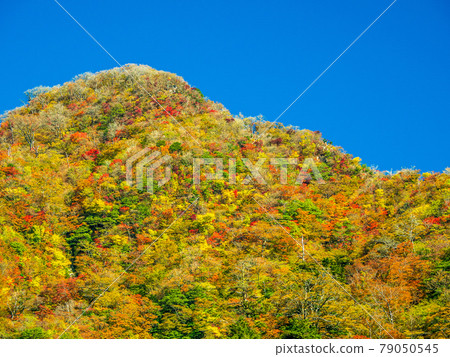 染成秋色的彥山 79050545