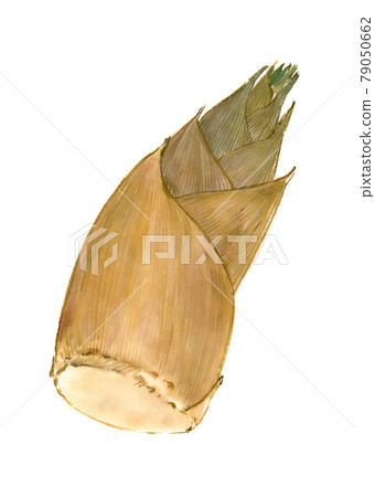 Bamboo shoots 2 Bamboo shoots 2 79050662