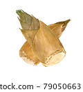 Bamboo shoots 3 79050663