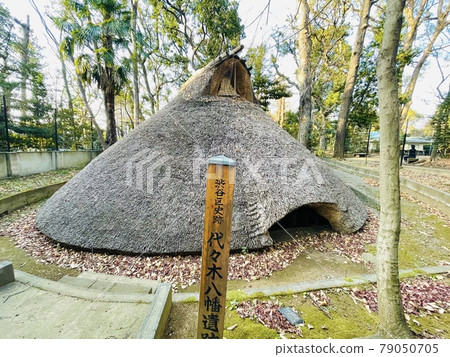 代代木八幡宮在東京代代木八幡宮 代代木八幡宮在東京代代木八幡宮 79050705