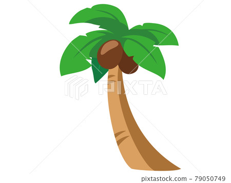 Palm tree summer tradition icon / illustration material Palm tree summer tradition icon / illustration material 79050749
