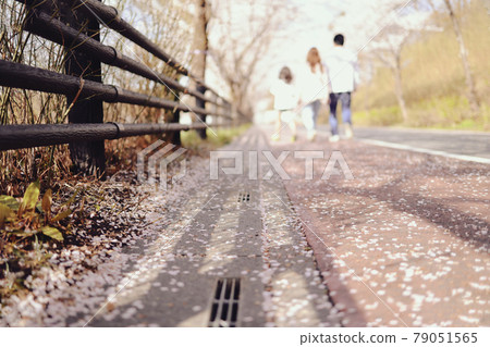 Family walking on the promenade with their companion Family walking on the promenade with their companion 79051565