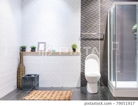 Bathroom interior with white walls, a shower cabin with glass wall, a toilet and sink Bathroom interior with white walls, a shower cabin with glass wall, a toilet and sink 79051917