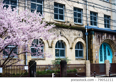 Photographing the spring cherry blossoms of the former Seitoku Junior High School in Shimogyo-ku, Kyoto Photographing the spring cherry blossoms of the former Seitoku Junior High School in Shimogyo-ku, Kyoto 79052211
