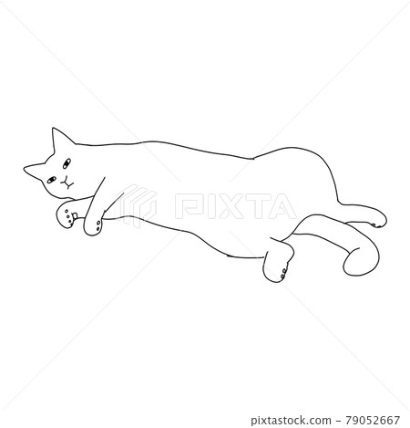 Line drawing illustration of a cat in a cat opening pose Line drawing illustration of a cat in a cat opening pose 79052667
