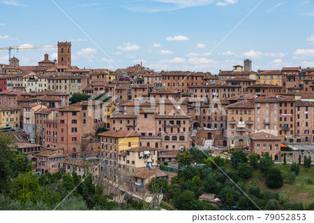 View of the city of Siena from the hills in Italy View of the city of Siena from the hills in Italy 79052853