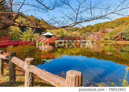 秋天的定光寺公園 <愛知縣瀨戶市> 秋天的定光寺公園 <愛知縣瀨戶市> 79052941