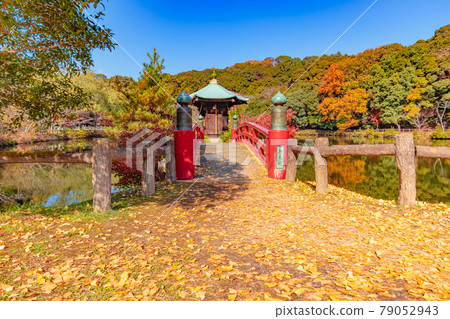 Autumn Jokoji Park <Seto City, Aichi Prefecture> 79052943