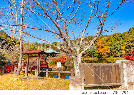Autumn Jokoji Park <Seto City, Aichi Prefecture> 79052944