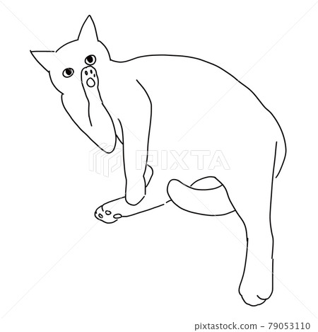 Line drawing illustration of a cat hairing Line drawing illustration of a cat hairing 79053110