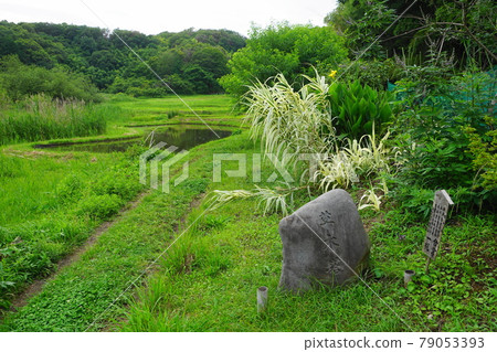 June Machida 337 Kusaki Pagoda (monument tower), Zushi Onoji Historical Environmental Conservation Area (satoyama landscape) 79053393