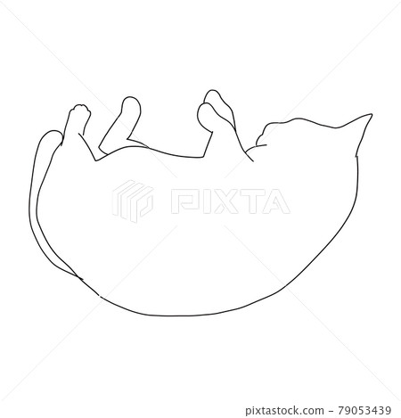 Line drawing illustration of a sleeping cat Line drawing illustration of a sleeping cat 79053439